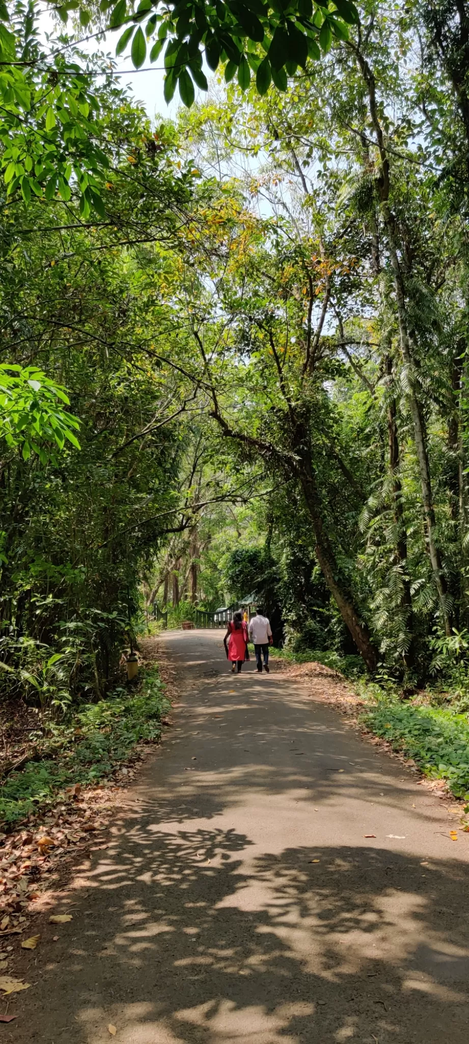 Photo of Kumarakom Bird Sanctuary Observatory Tower By Rahul Sivadas