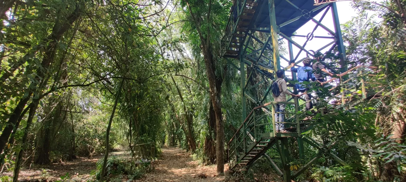 Photo of Kumarakom Bird Sanctuary Observatory Tower By Rahul Sivadas