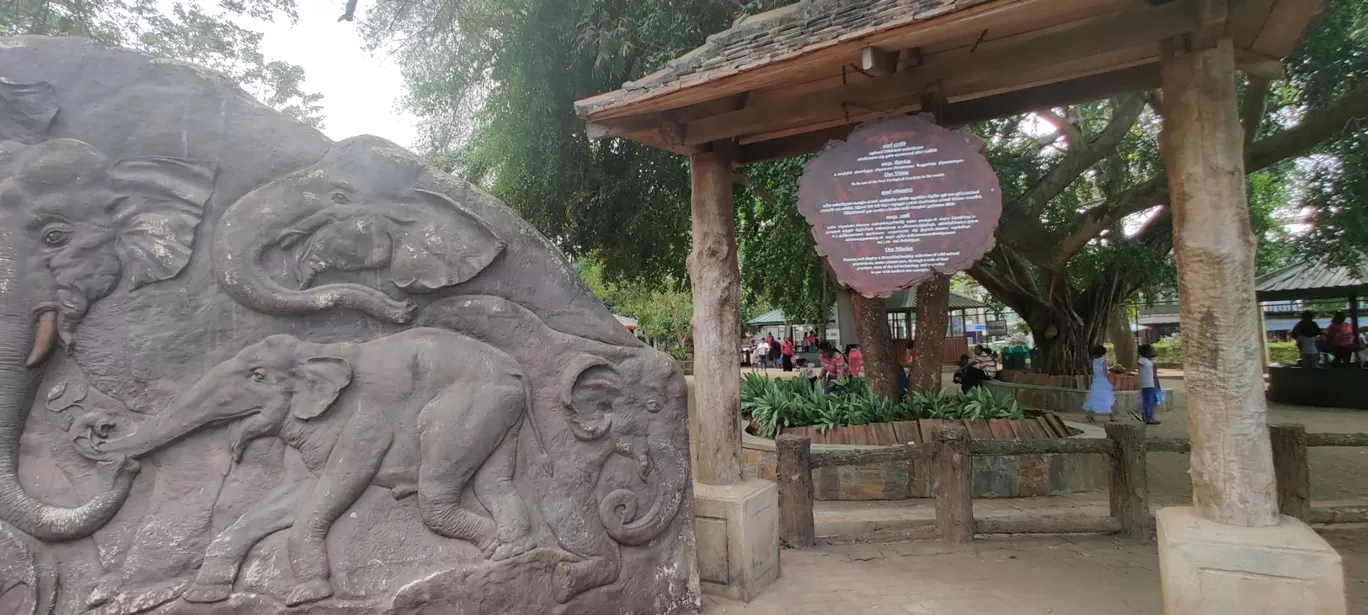 Photo of Pinnawala Elephant Orphanage By Rahul Sivadas