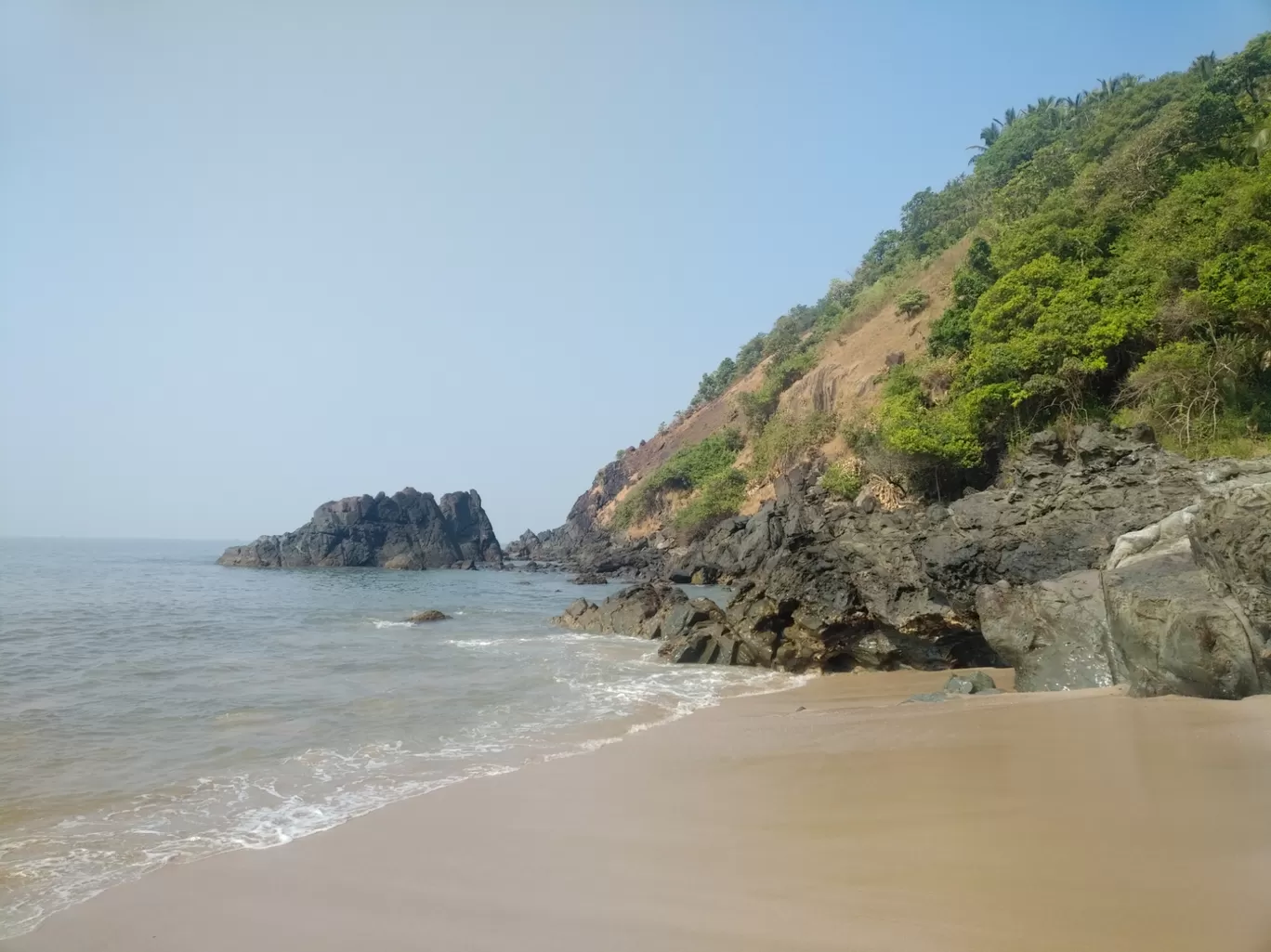 Photo of Palm Discoveries By Devendra Reddy