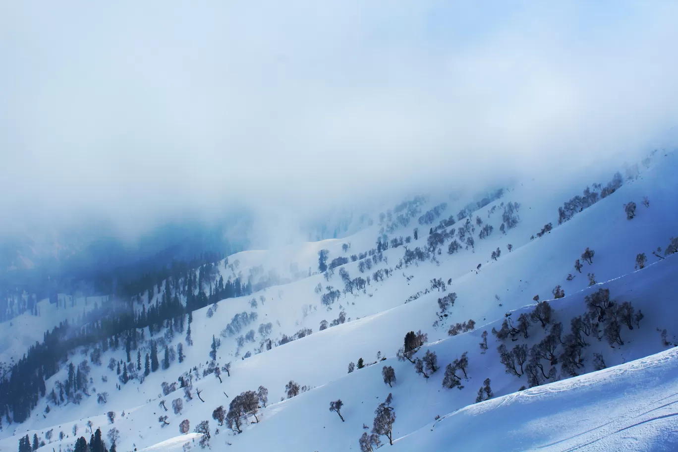 Photo of Gulmarg By Anil Kumar