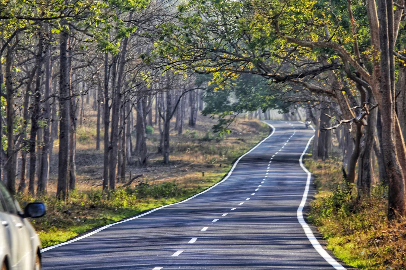 Photo of Bandipur National Park By Anil Kumar