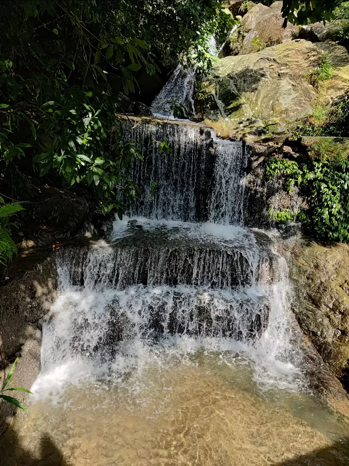 Photo of Siliguri By Sayantani Pal
