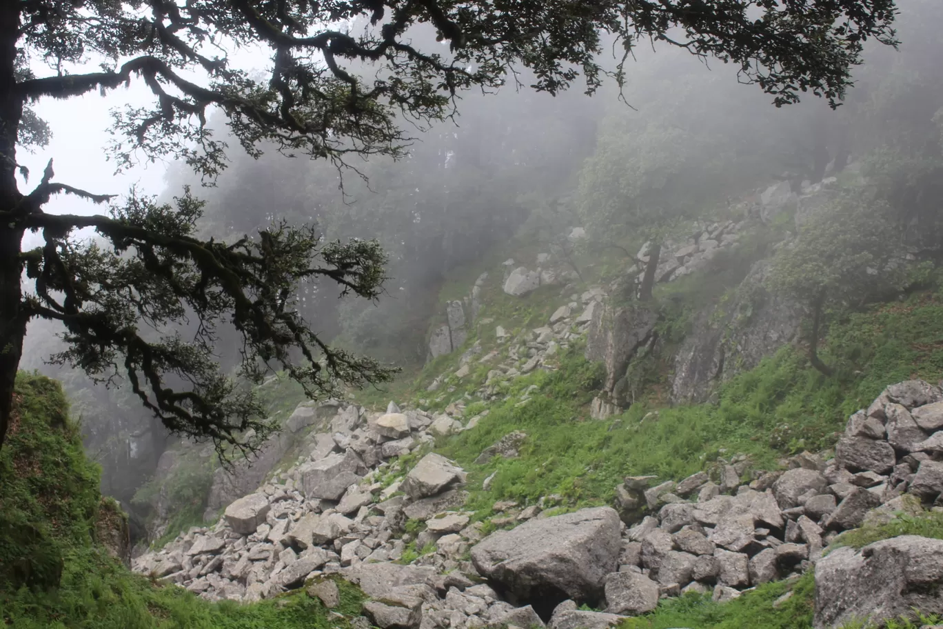 Photo of Biling By मोहित शर्मा