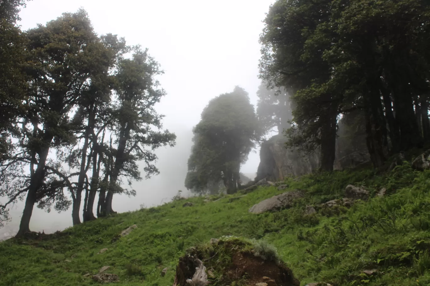 Photo of Biling By मोहित शर्मा