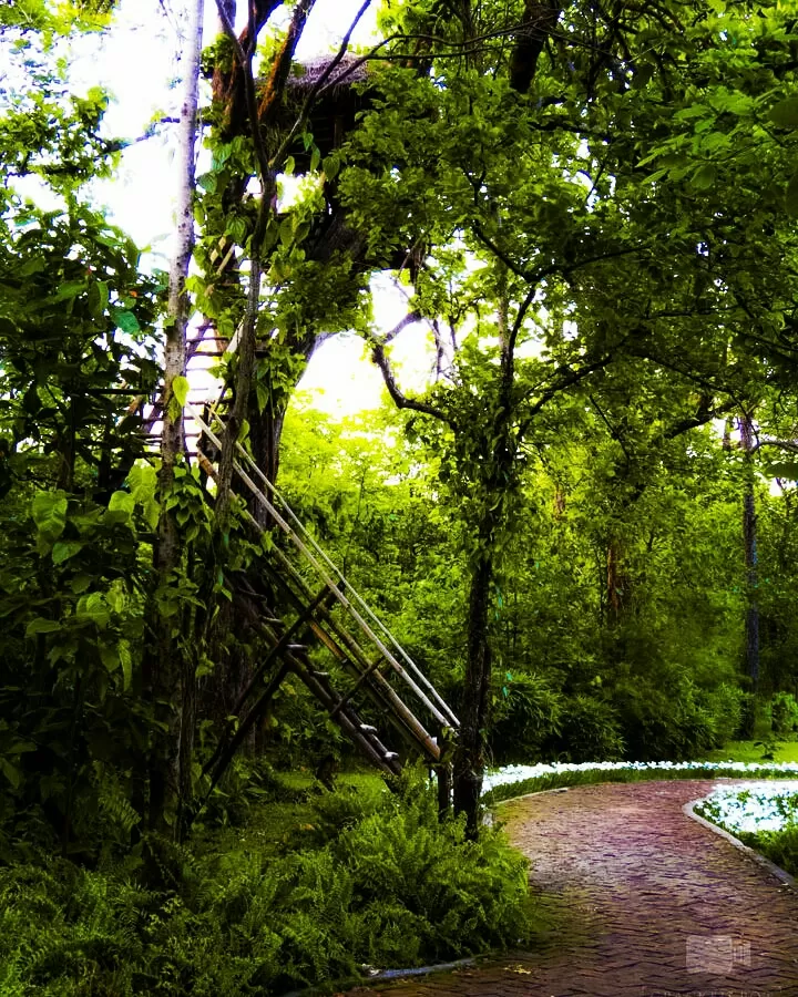 Photo of Mayurbhanj By Shatananda Mohanta