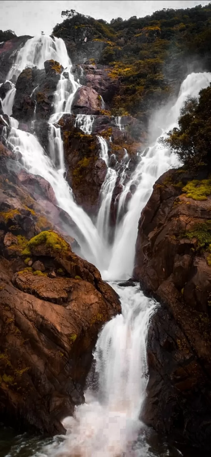 Photo of Dudhsagar Falls By Tanmay Moon