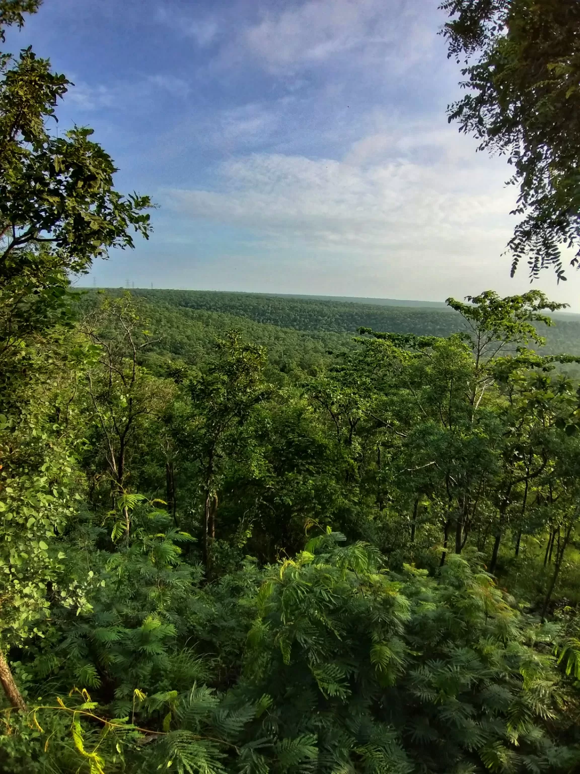 Photo of Nallamala Forest By Nature Lover