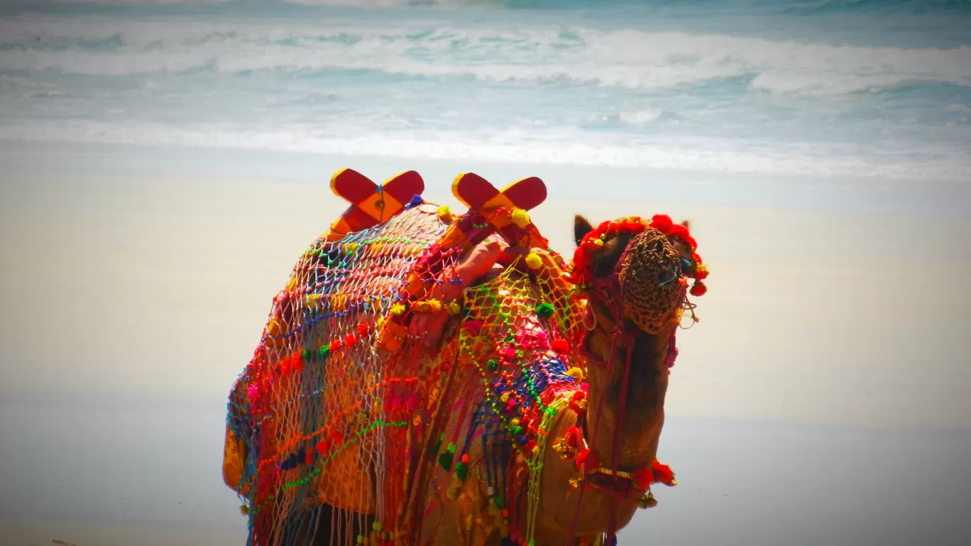 Photo of Ganpati Pule By Rahul Prajapati