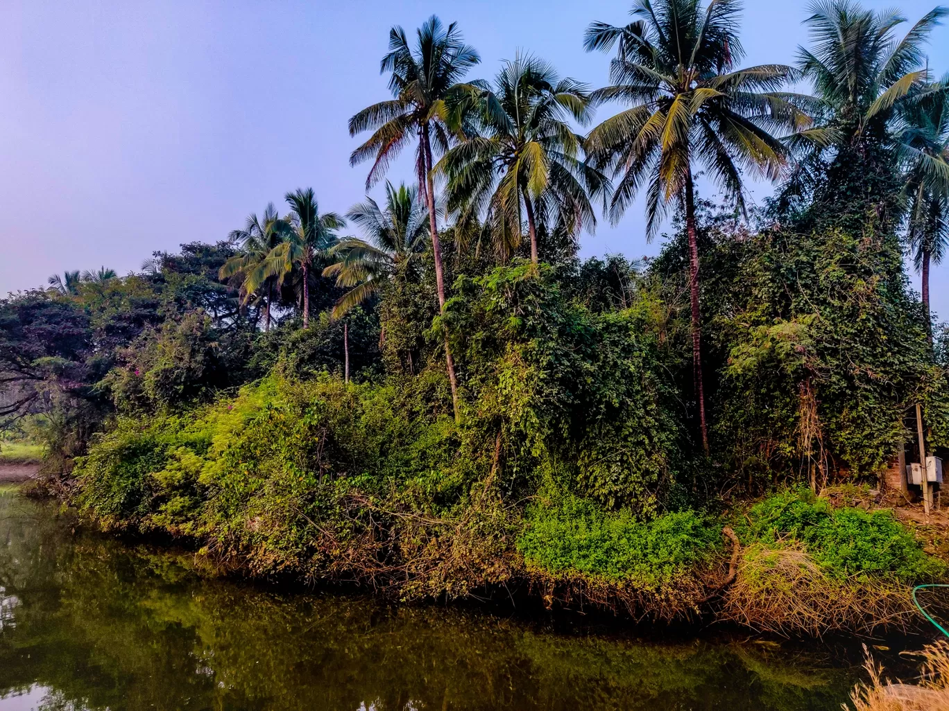 Photo of Tikona Fort By Shibani Marathe