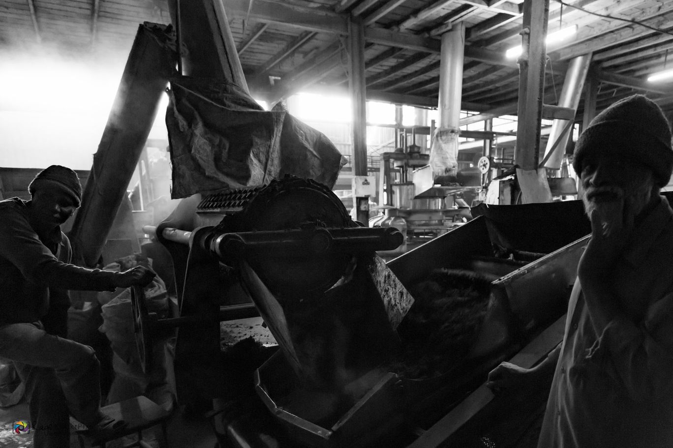 Photo of Making Of Tea Powder By Raghu Varun Dev Tanna