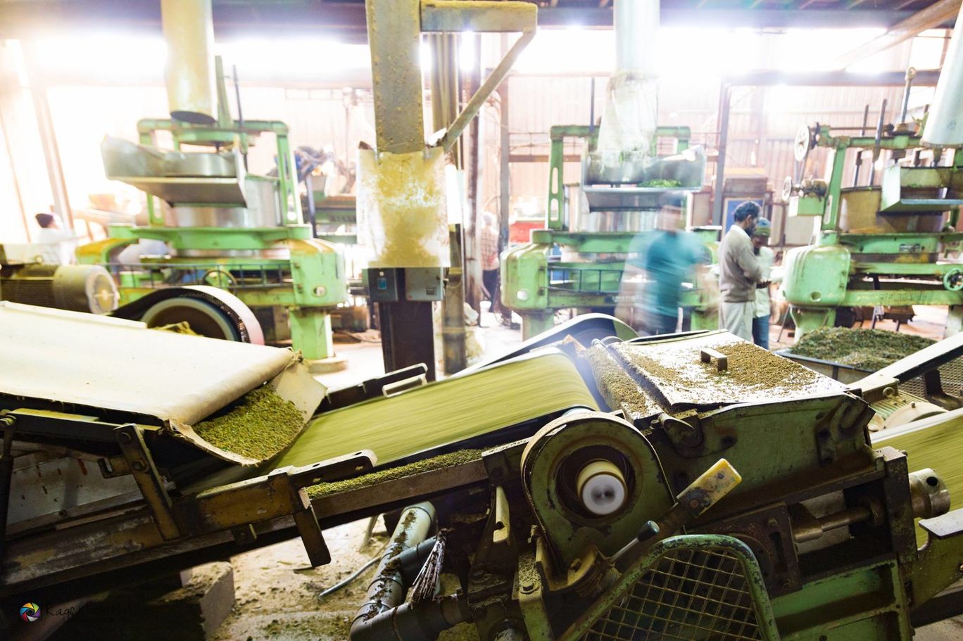 Photo of Making Of Tea Powder By Raghu Varun Dev Tanna