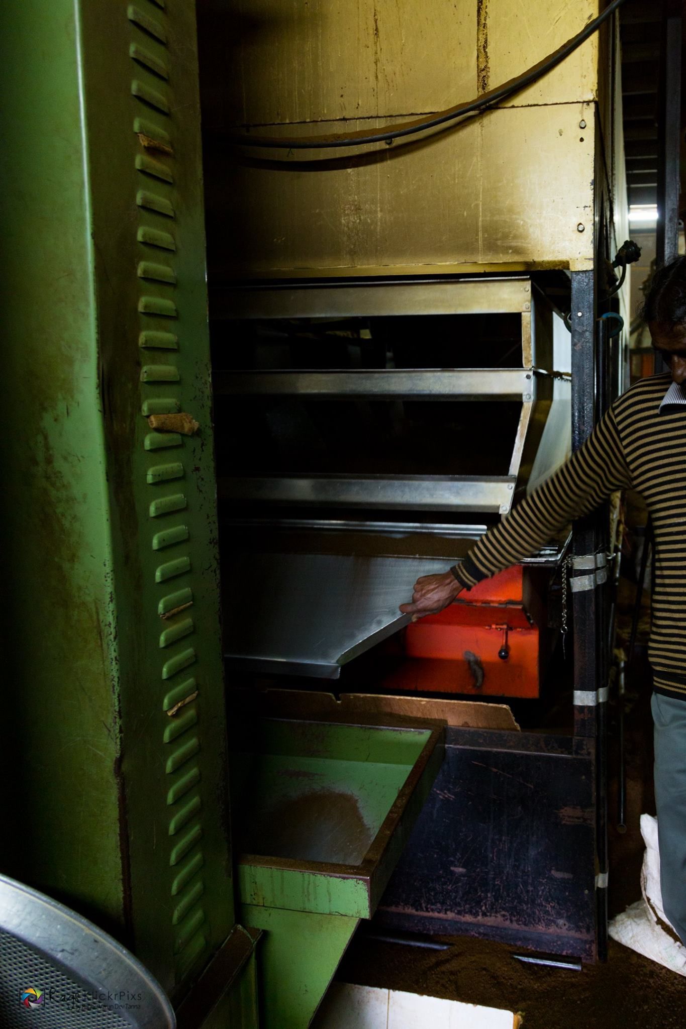 Photo of Making Of Tea Powder By Raghu Varun Dev Tanna