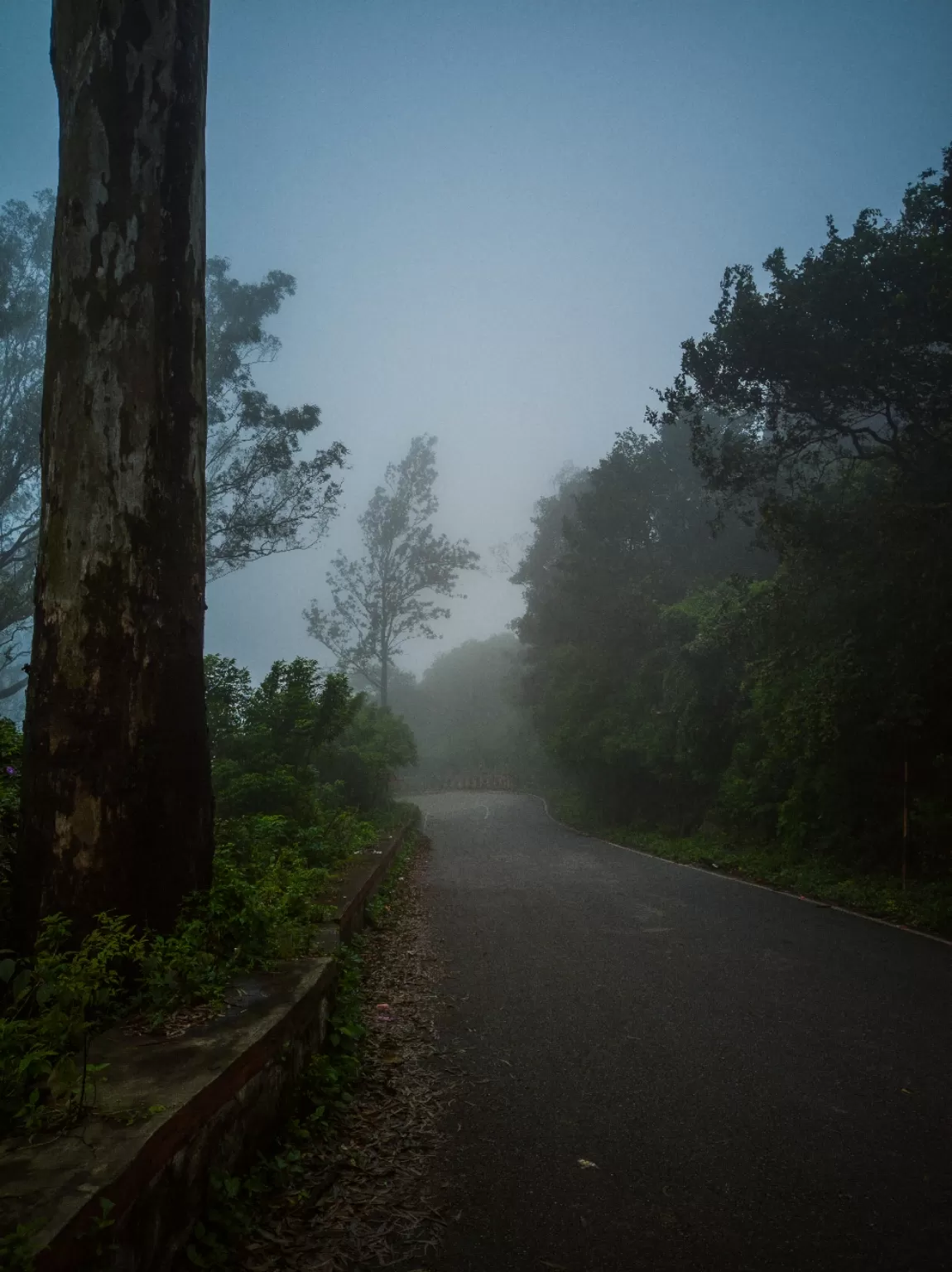 Photo of Nandi Hills By You Vlogs Manish