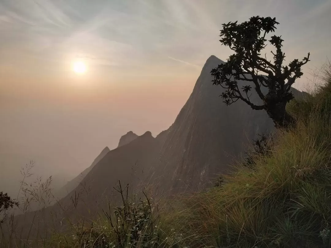 Photo of Kolukkumalai Sunrise View Point By Jithin kumar p