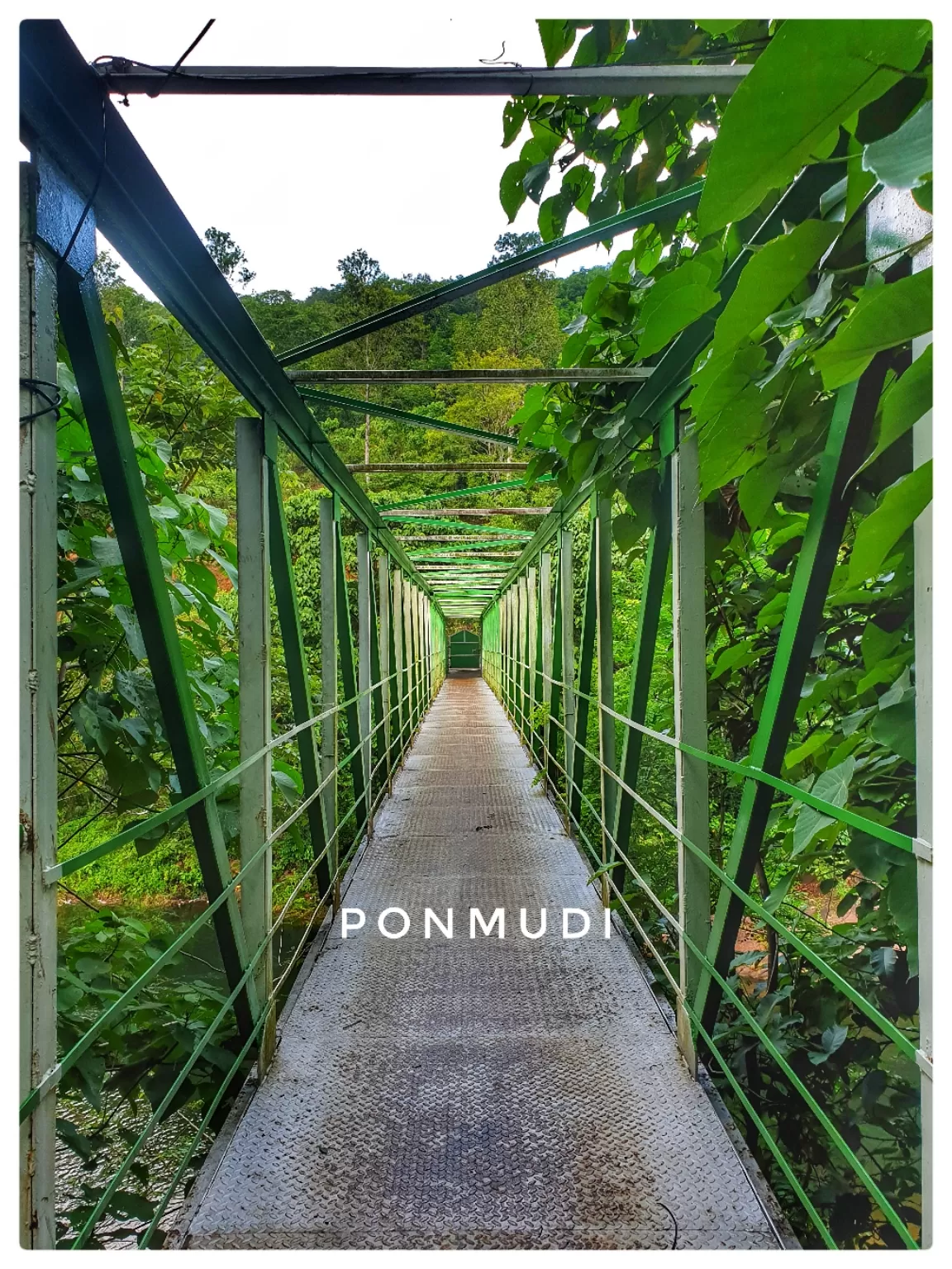 Photo of Ponmudi Hill Station By Gautham S