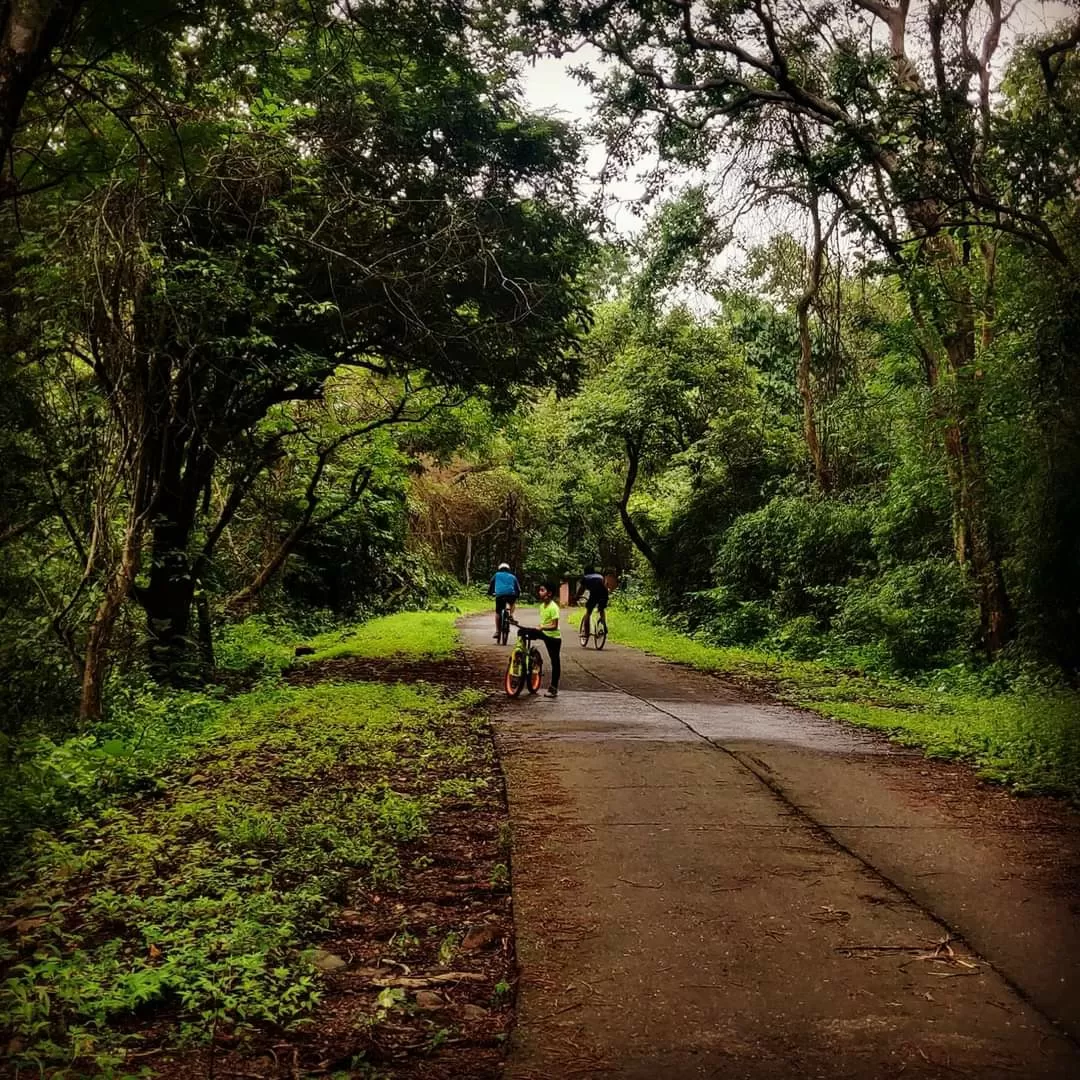 Photo of Sanjay Gandhi National Park By Alok Hawaldar