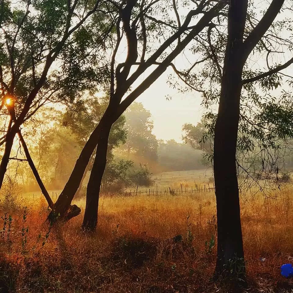 Photo of Malvan By Alok Hawaldar