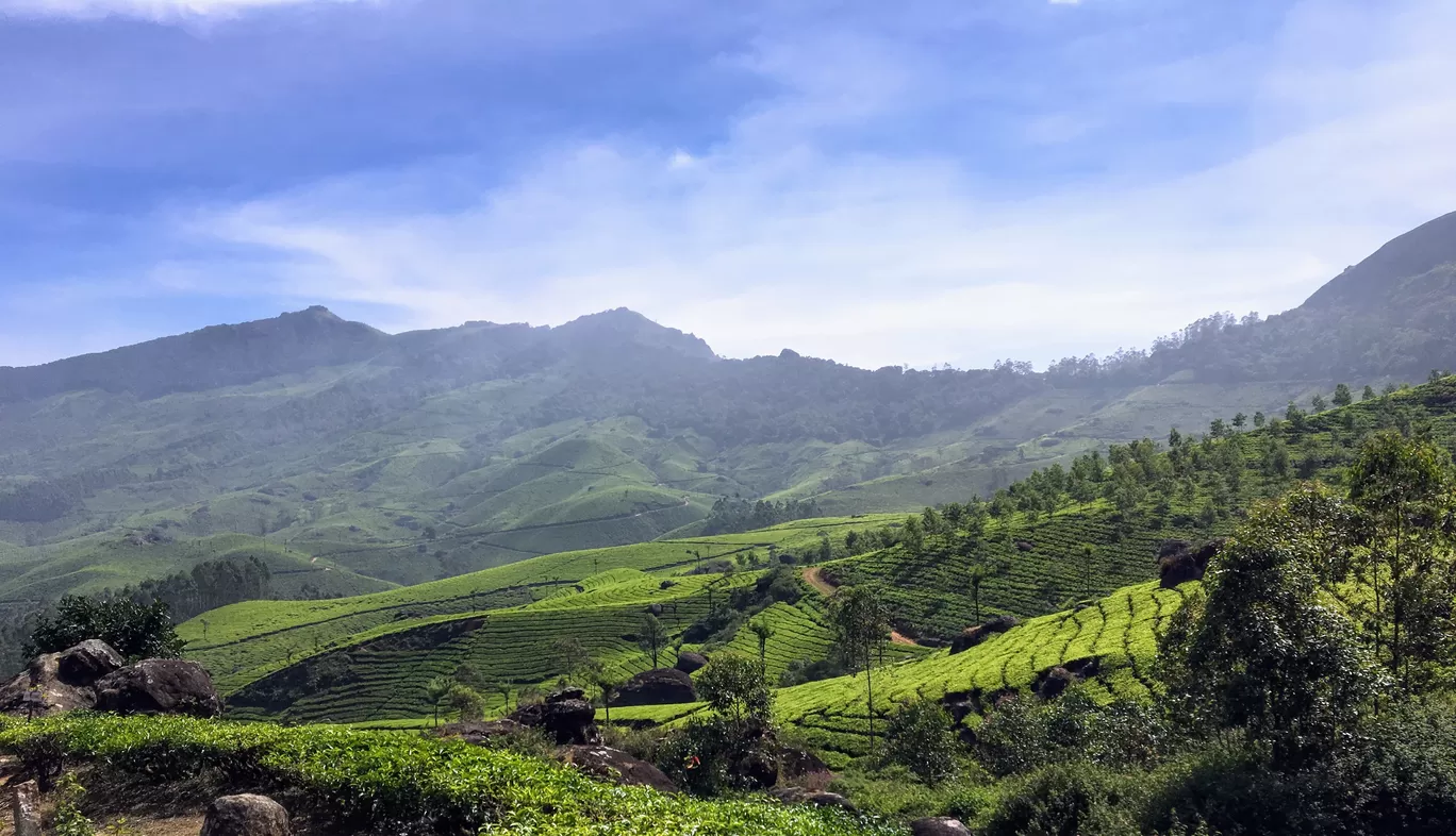 Photo of Munnar By Travel with Jayant