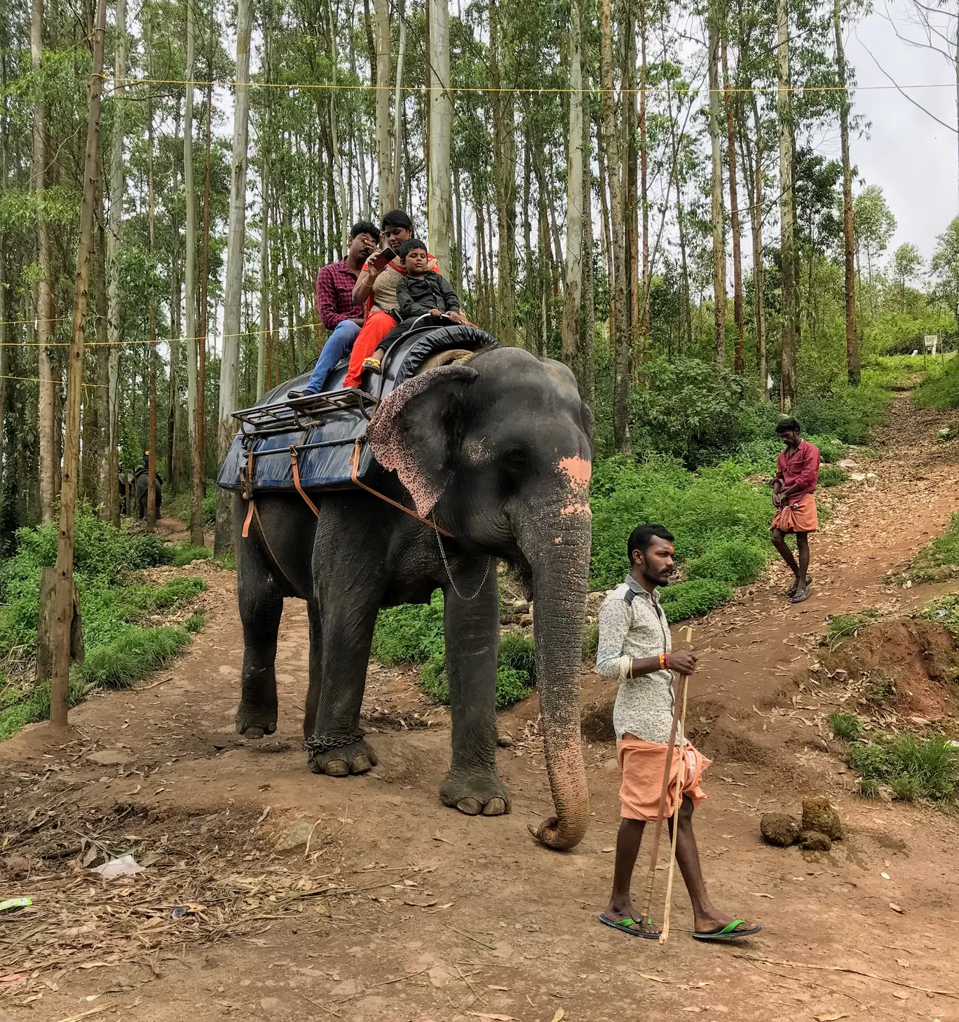 Photo of Munnar By Travel with Jayant