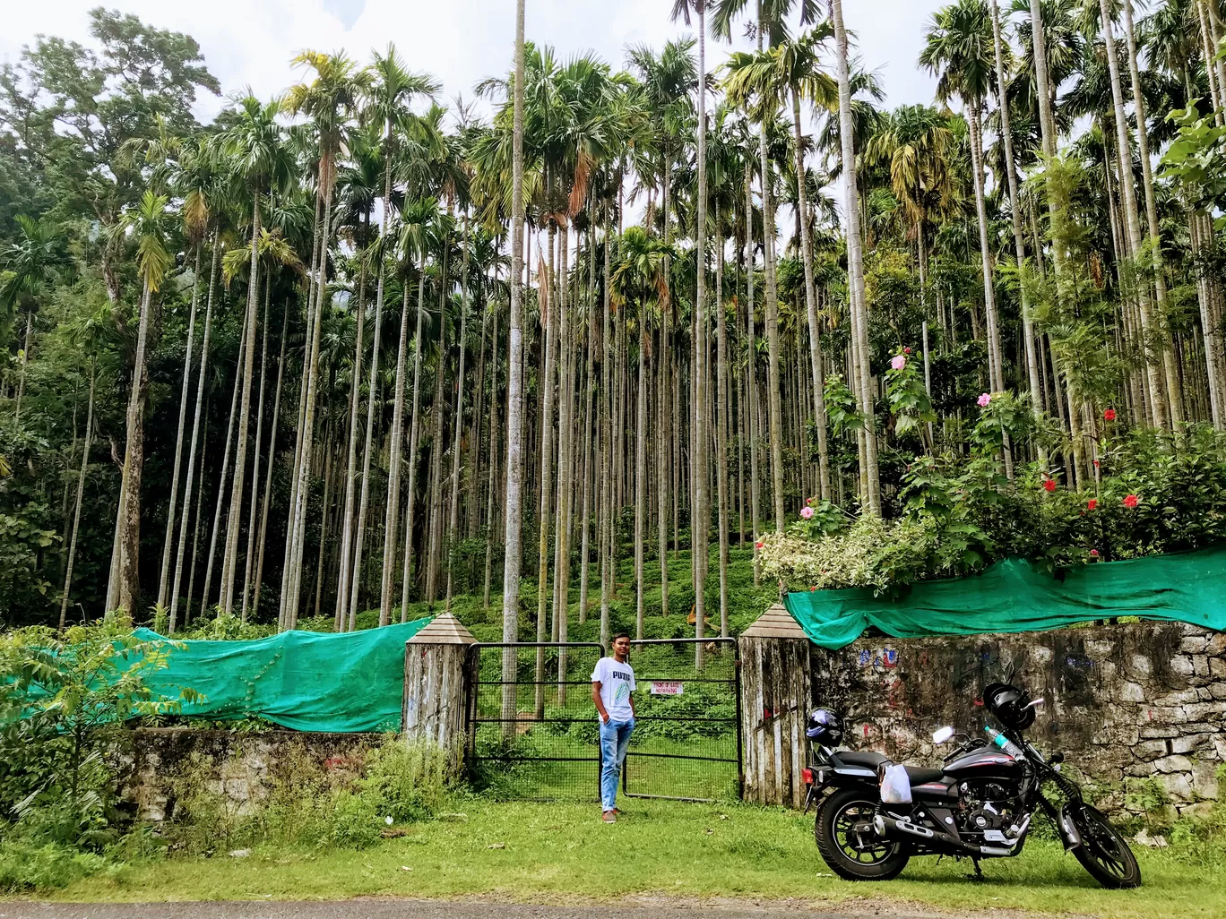 Photo of Munnar By Travel with Jayant