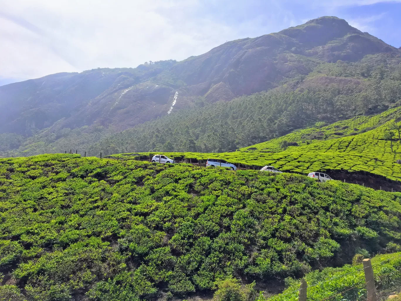 Photo of Munnar By Travel with Jayant