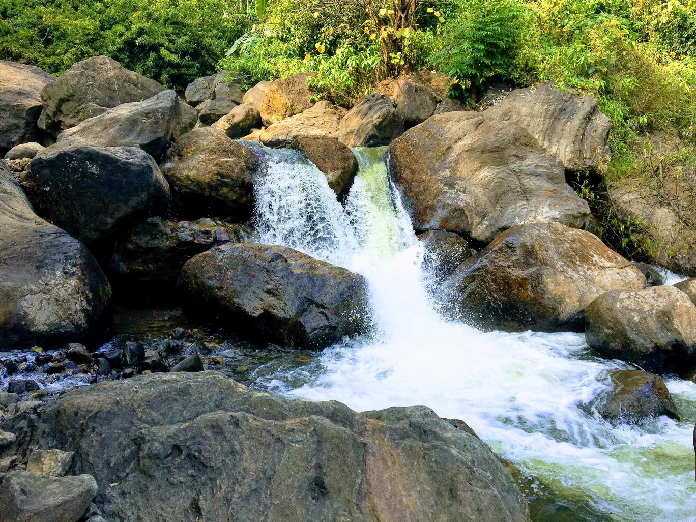 Photo of Munnar By Travel with Jayant