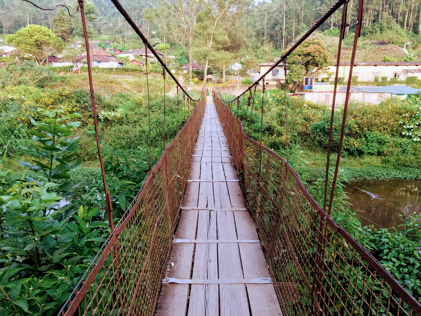 Photo of Munnar By Travel with Jayant