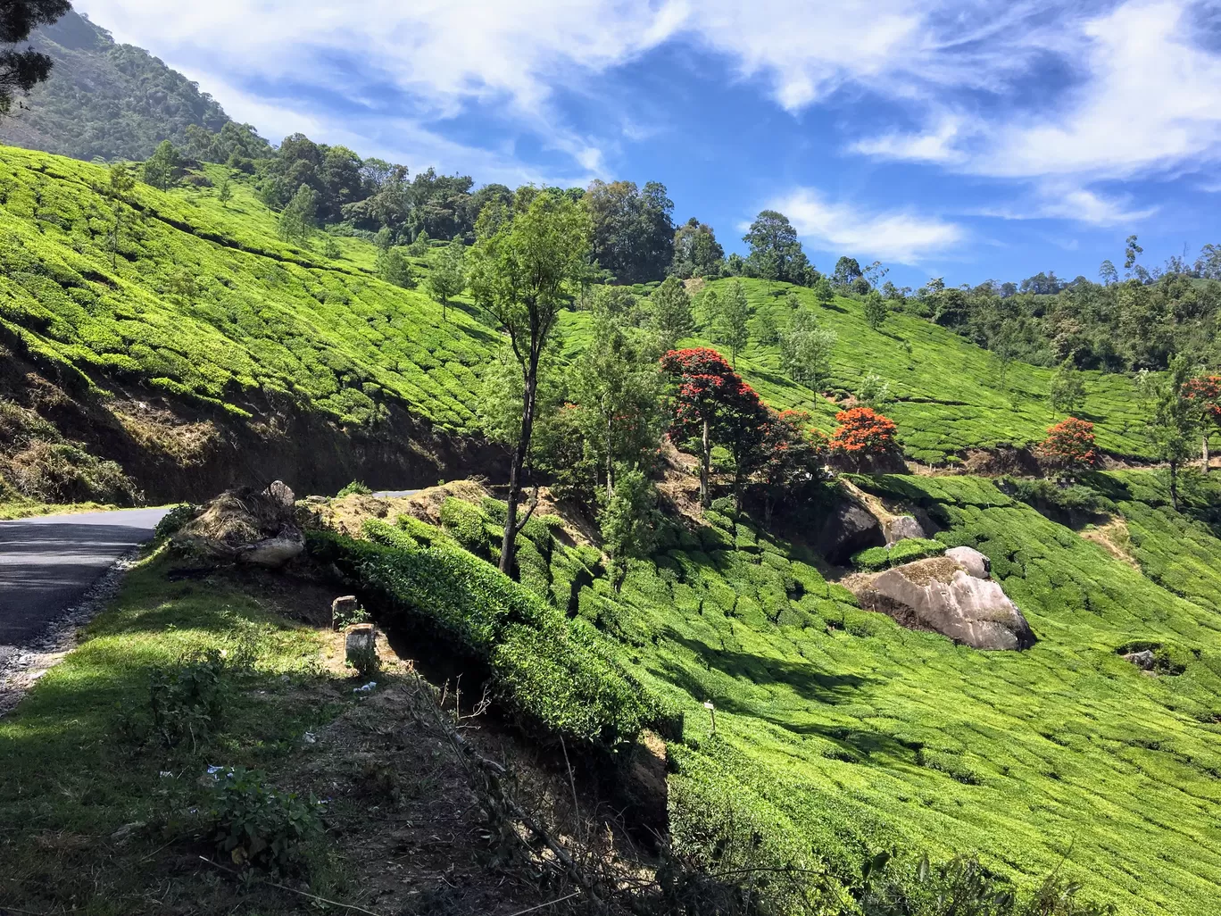 Photo of Munnar By Travel with Jayant