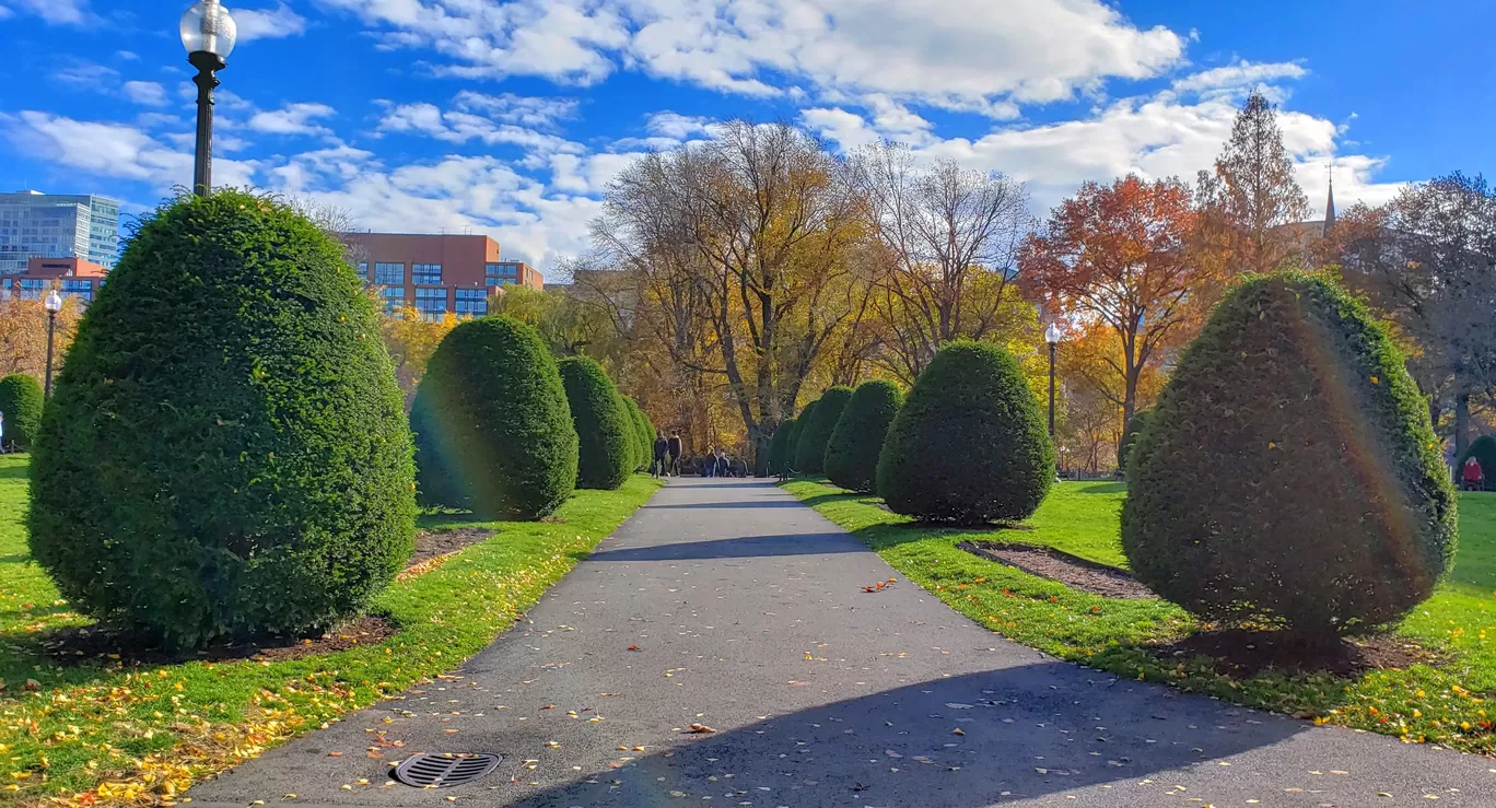 Photo of Boston By Travel with Jayant