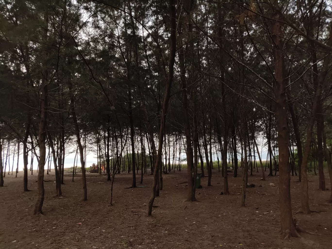 Photo of Calangute By Ram