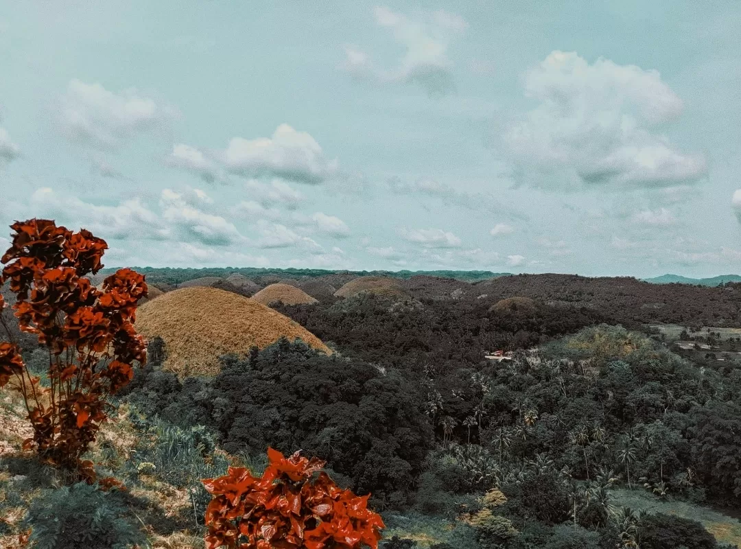 Photo of Chocolate Hills- Bohol By That NomadCouple