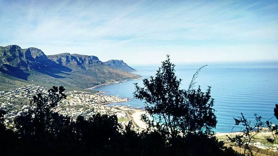 Photo of Lion's Head By That NomadCouple