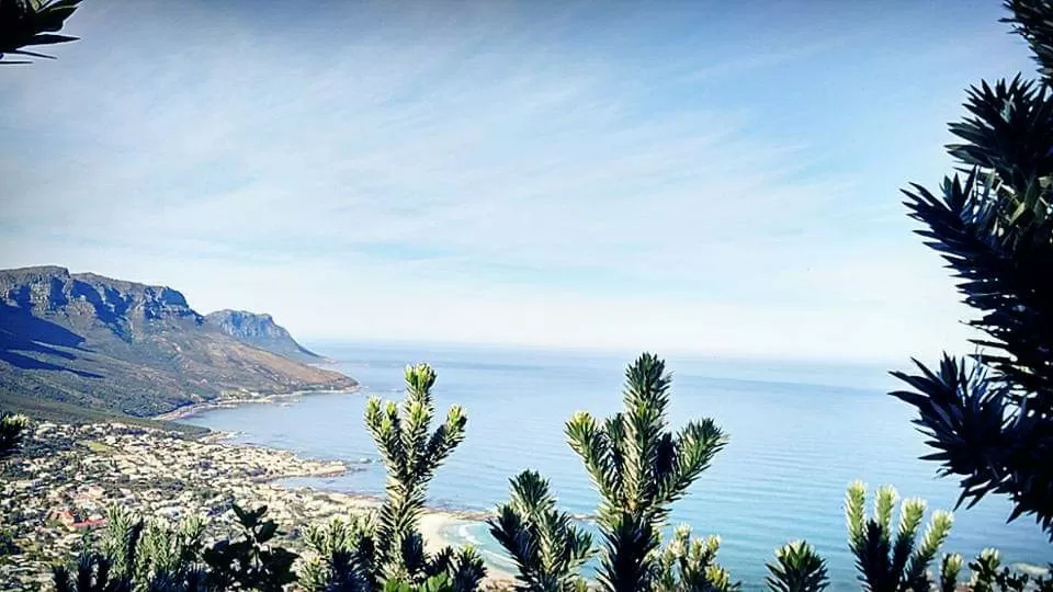 Photo of Lion's Head By That NomadCouple