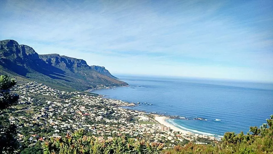 Photo of Lion's Head By That NomadCouple