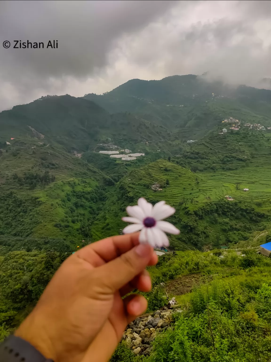 Photo of Mussoorie By Zishan Ali