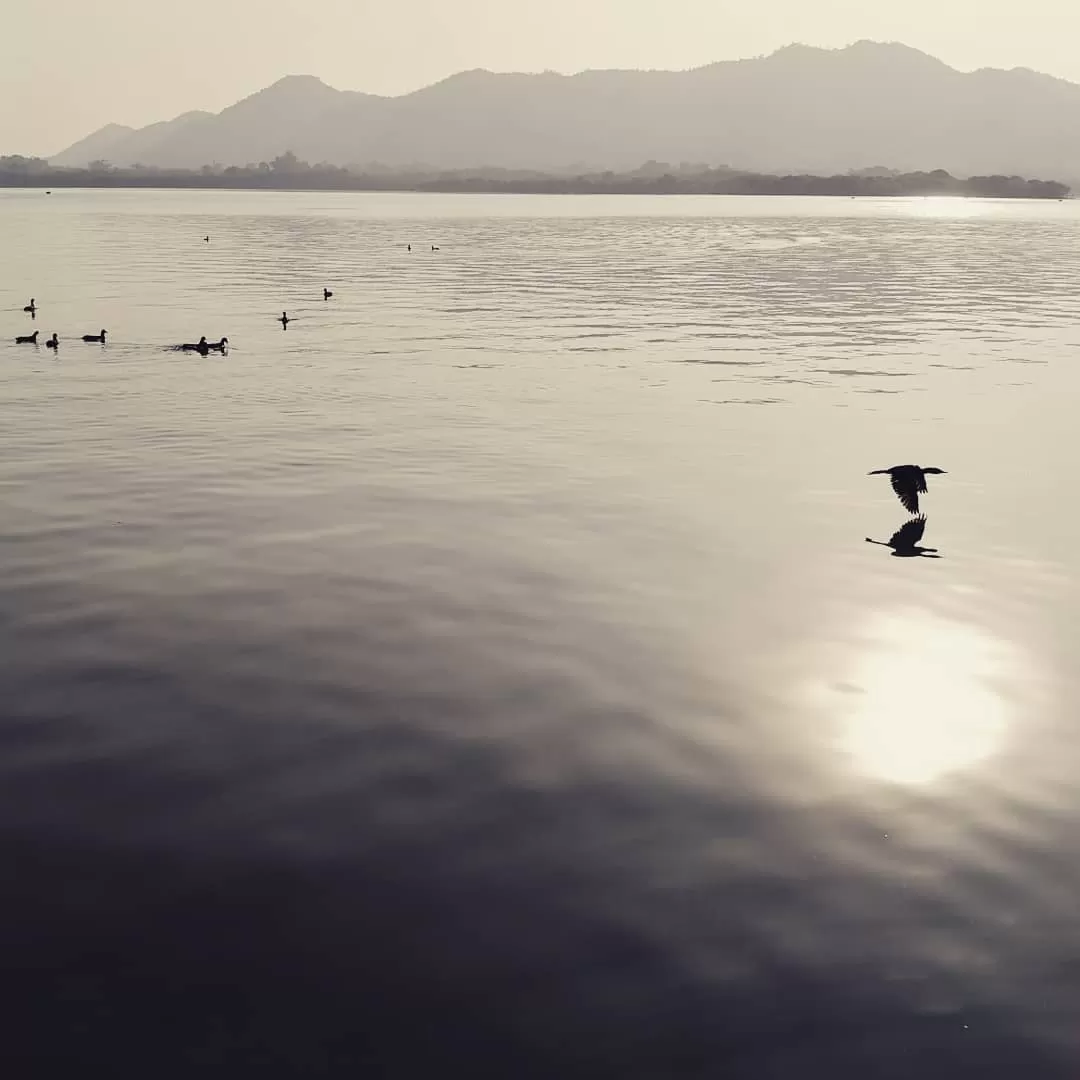 Photo of Udaipur By meenakshi.kheterpal