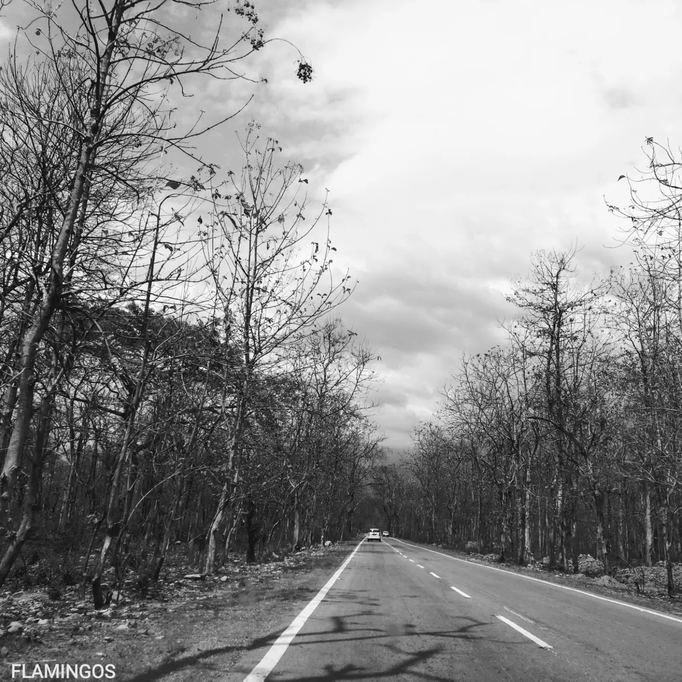 Photo of Kaladhungi Road By meenakshi.kheterpal