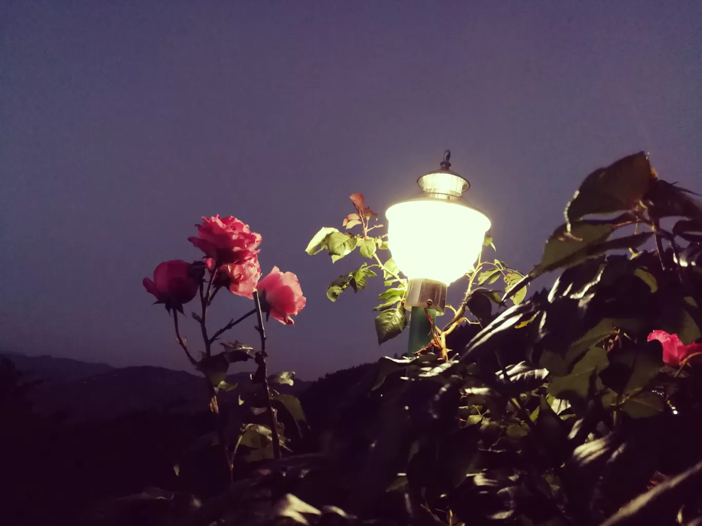 Photo of Mashobra By meenakshi.kheterpal