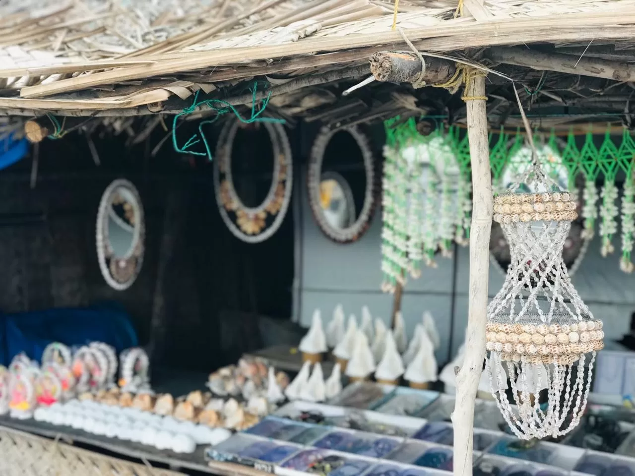 Photo of Dhanushkodi By Hena Francis