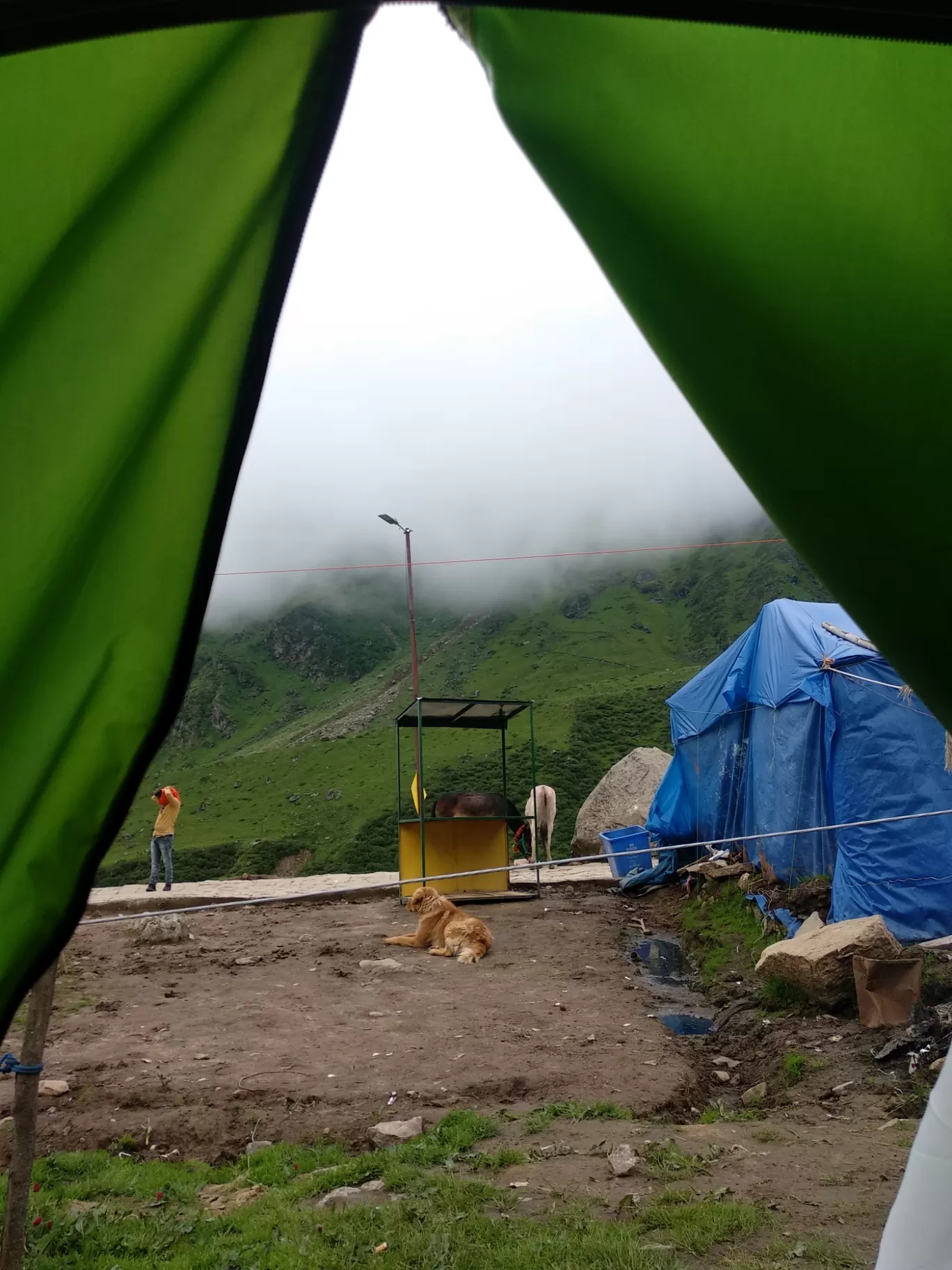 Photo of Kedarnath By Vikas katoch