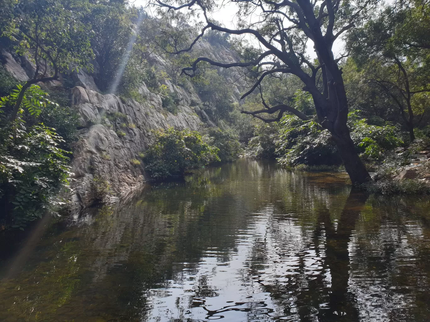 Photo of Tada Falls By Aakriti Nag