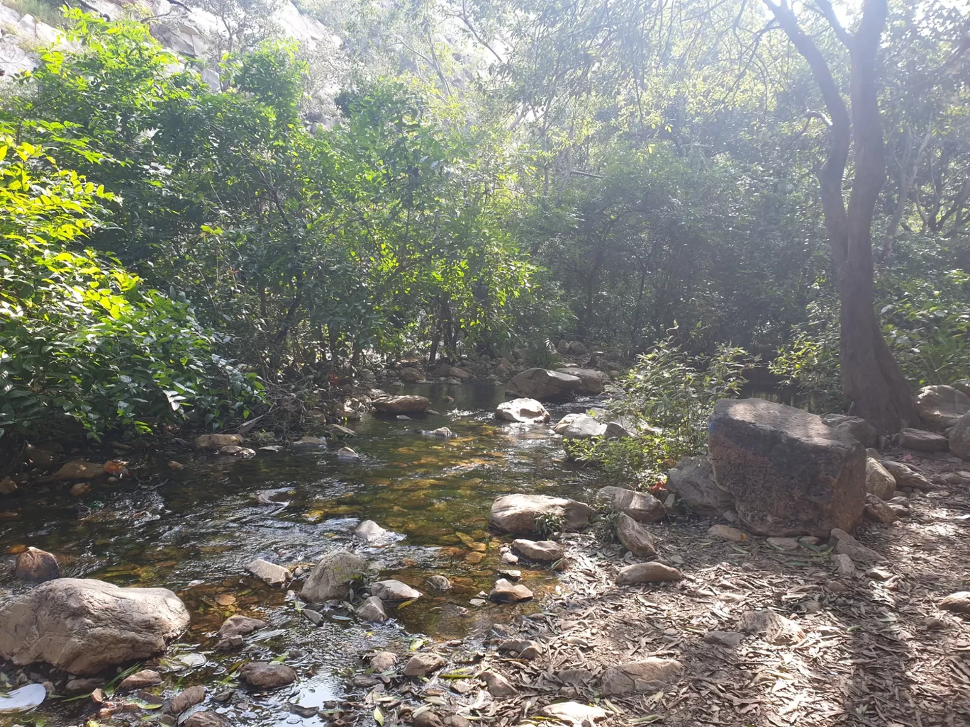 Photo of Tada Falls By Aakriti Nag