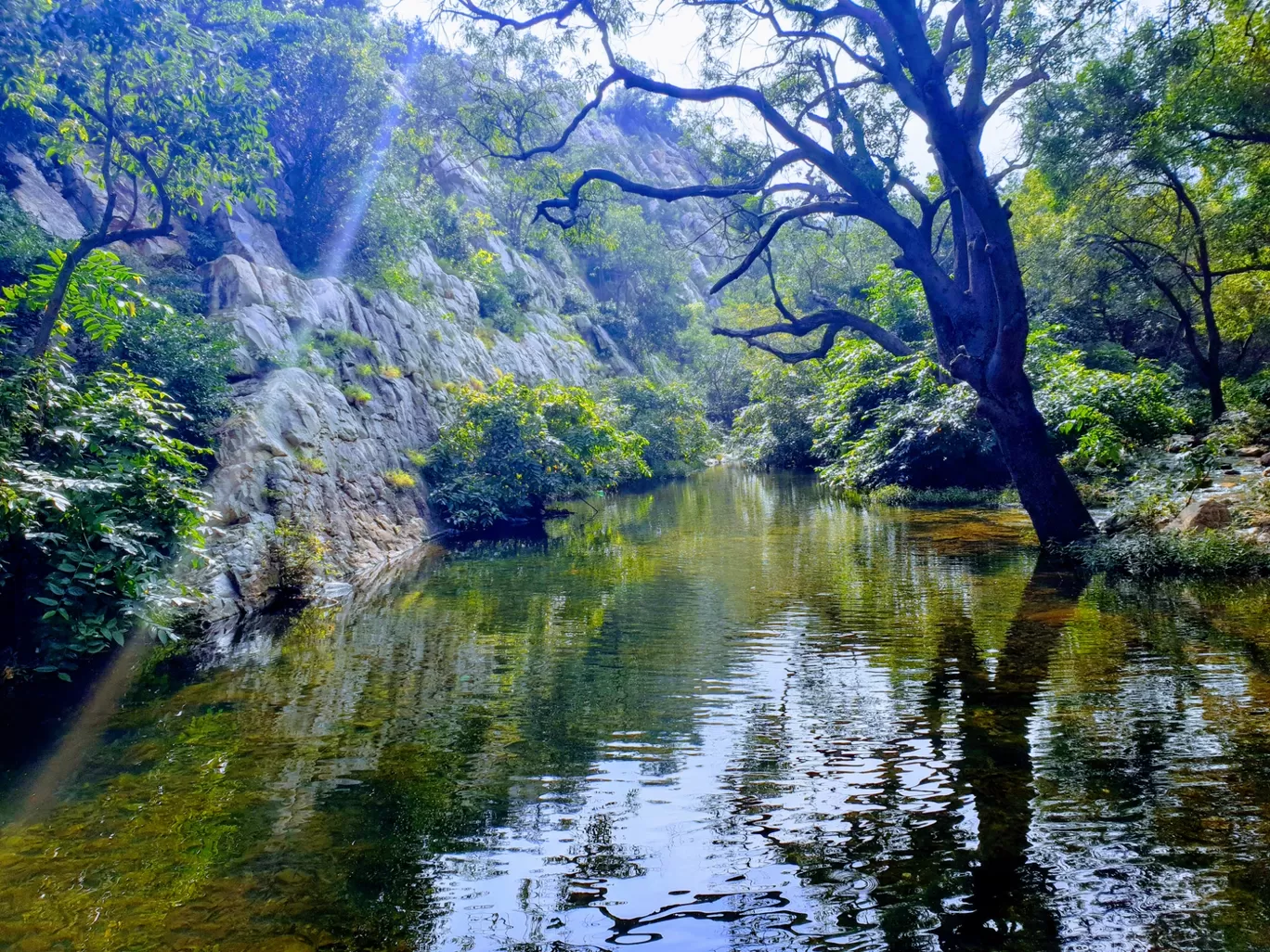 Photo of Tada Falls By Aakriti Nag