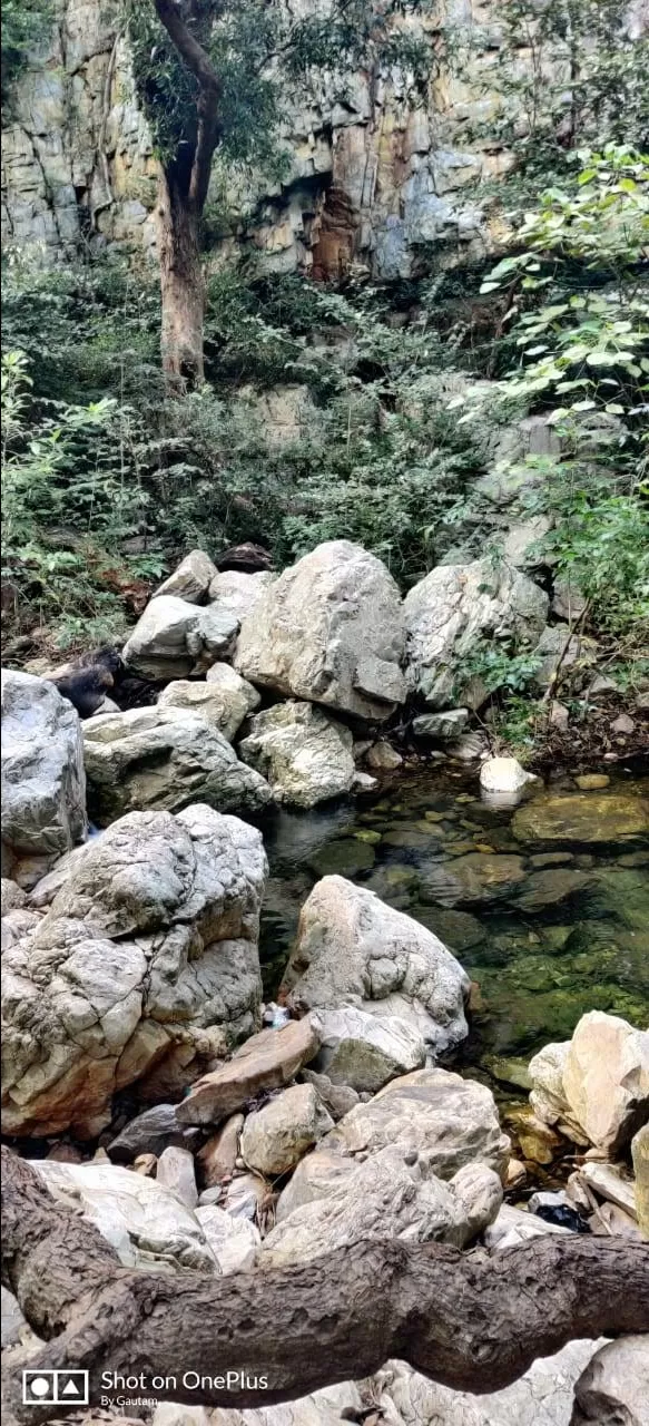 Photo of Tada Falls By Aakriti Nag