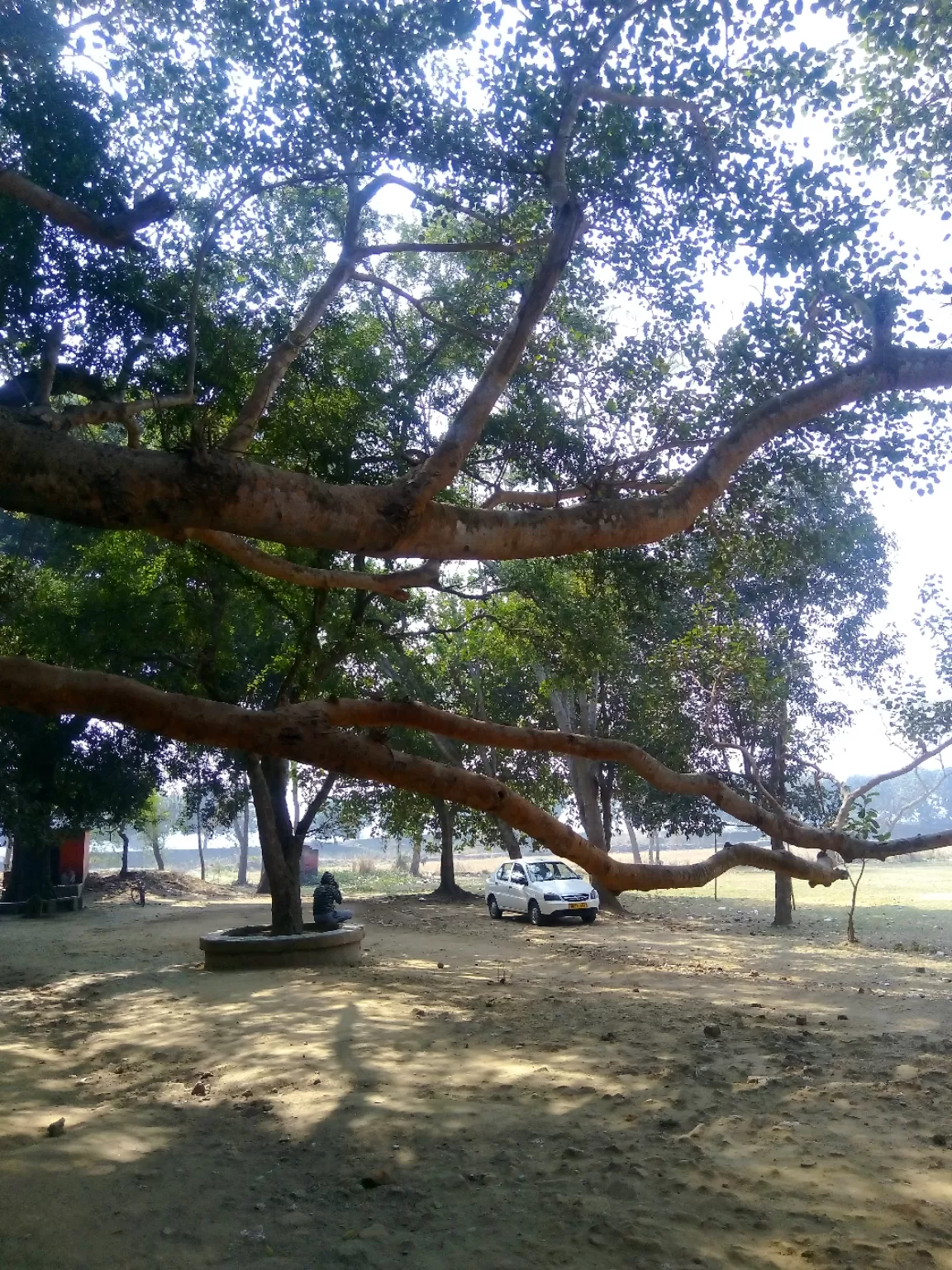 Photo of Samanti Rakhal Raja Tala By suniti Mukherjee