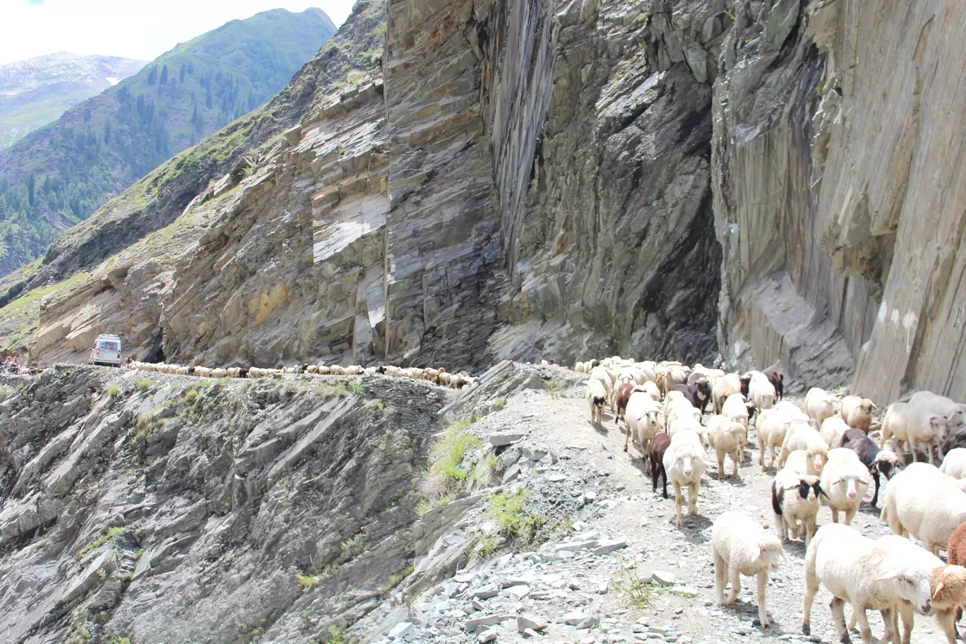Photo of Sach Pass 4390m By Pangi Valley Vlogs
