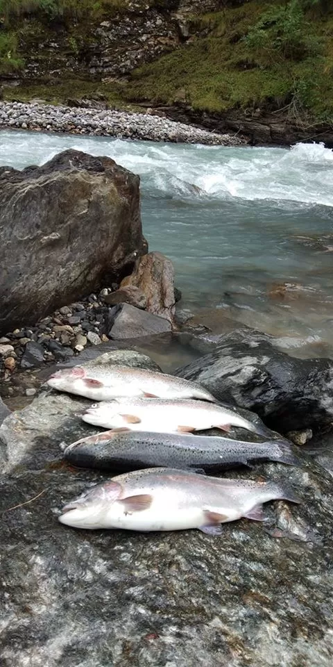 Photo of Pangi Valley By Pangi Valley Vlogs