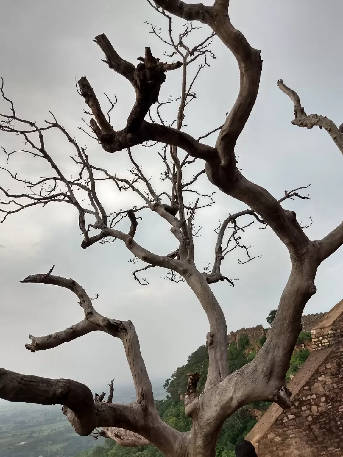 Photo of Banda By Himanshu Sharma