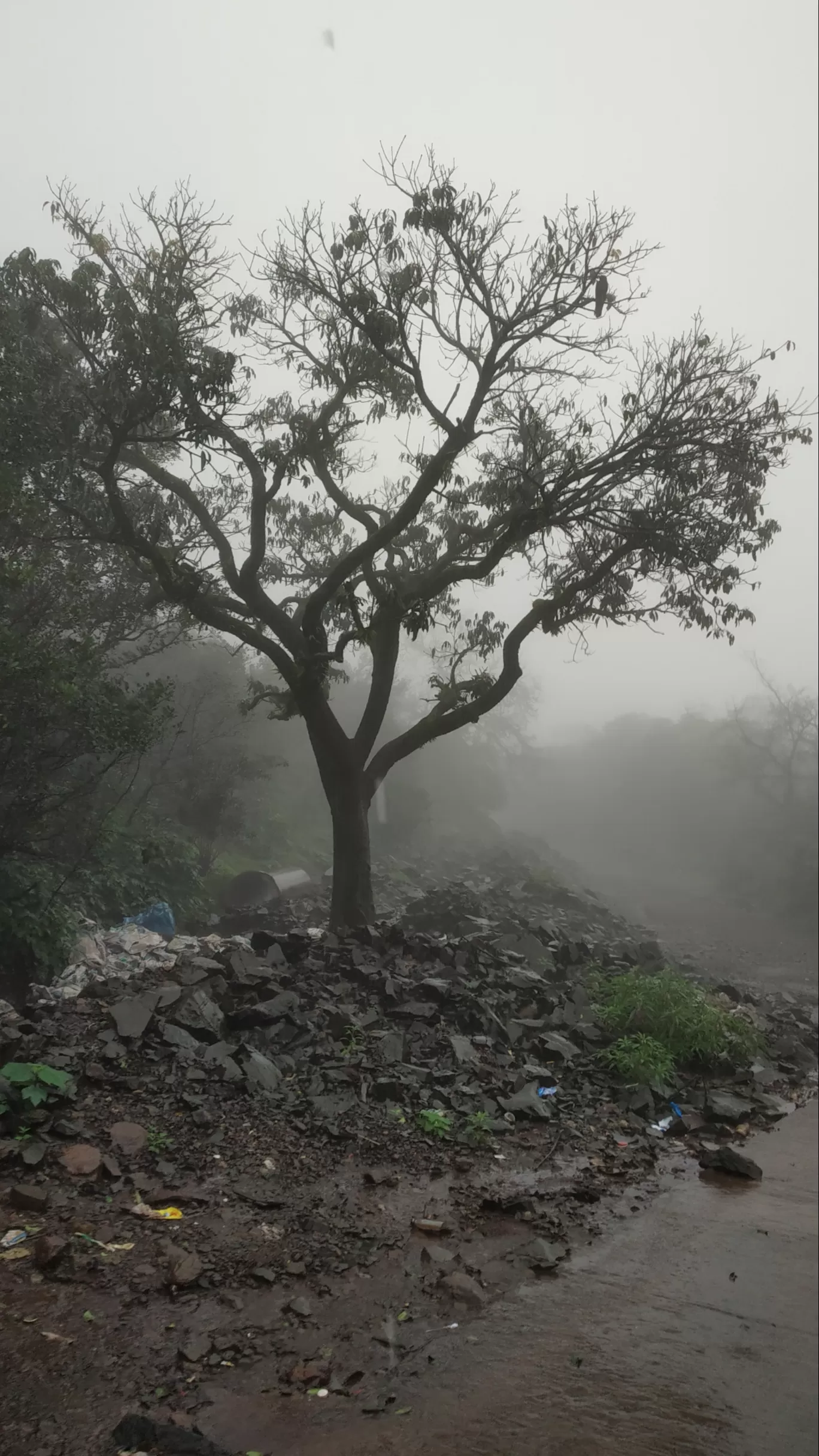 Photo of MH SH 54 By Raja Choudhary